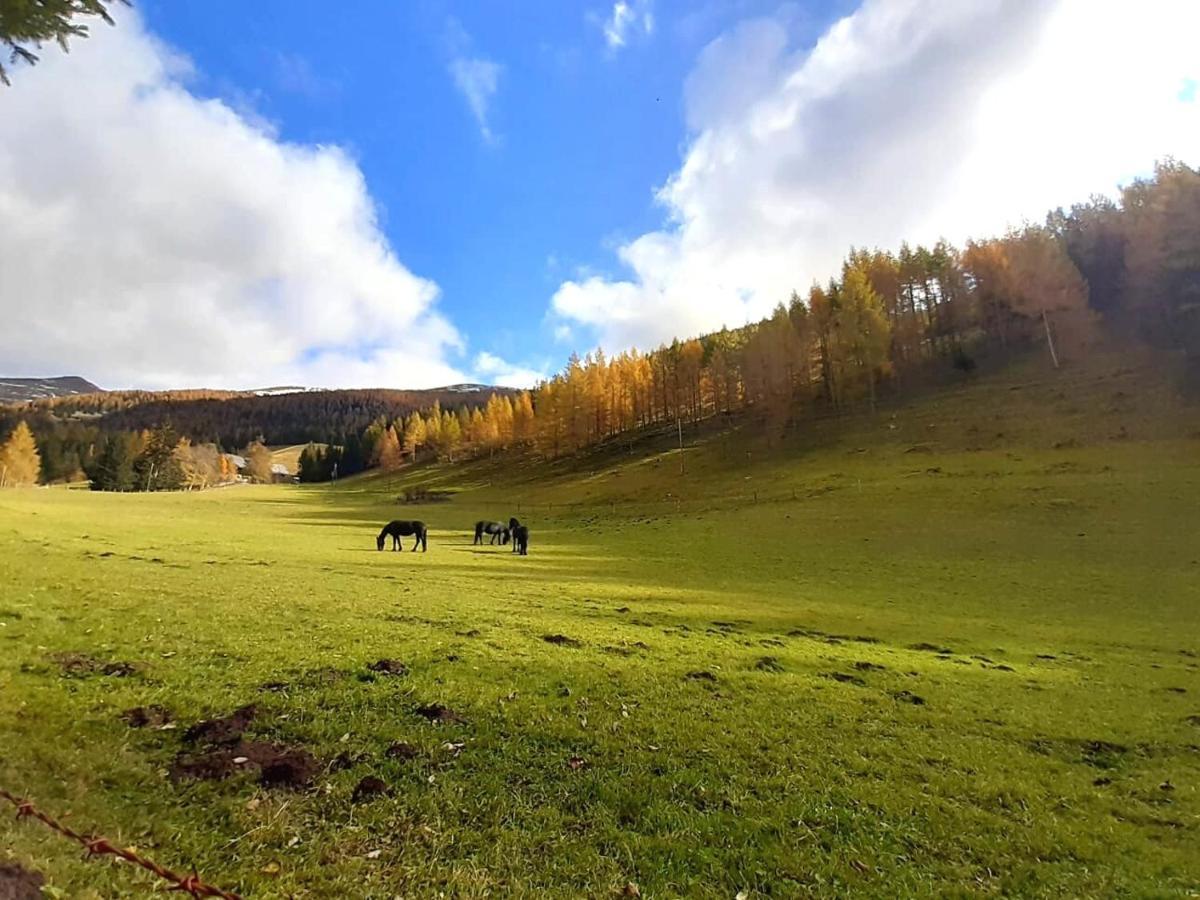 Chalet Verdino Бад Кляйнкирххайм Экстерьер фото