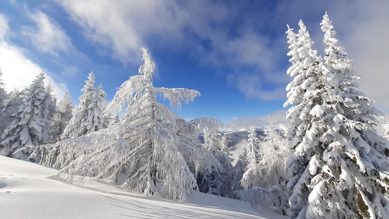 Chalet Verdino Бад Кляйнкирххайм Экстерьер фото