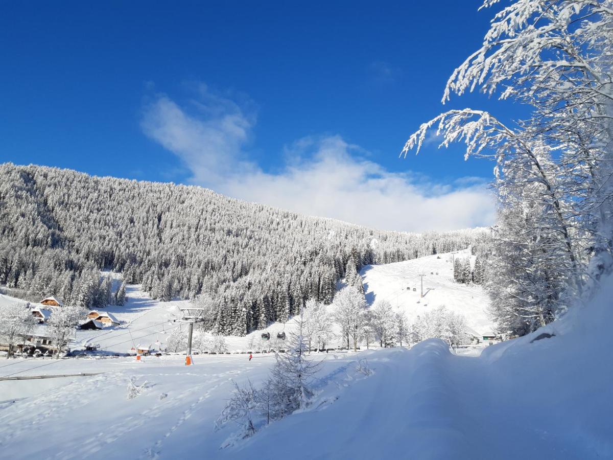 Chalet Verdino Бад Кляйнкирххайм Экстерьер фото